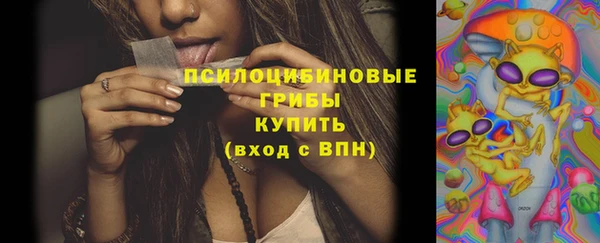 таблы Горняк