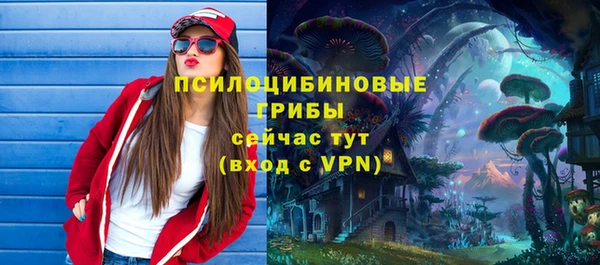 a pvp Вяземский