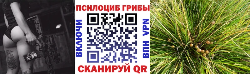 Галлюциногенные грибы Psilocybe  Коломна 