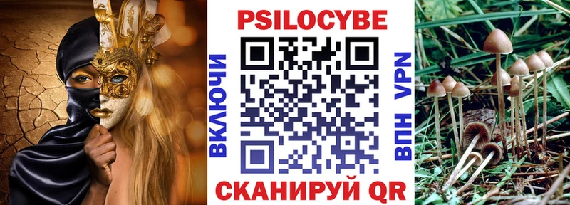Псилоцибиновые грибы Cubensis Коломна